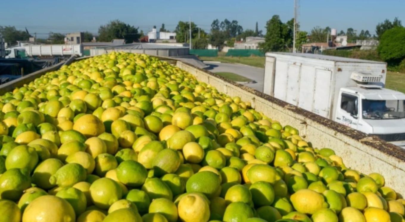 A COUNTRY IN THE REGION HAD TO CANCEL LEMON EXPORTS DUE TO A NEW OUTBREAK