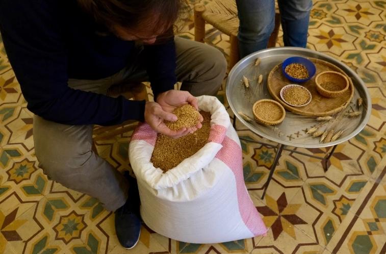 THE BLESSING OF WHEAT: JORDAN’S MASS MOVEMENT FOR FOOD SOVEREIGNTY